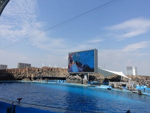 DSC03490_R