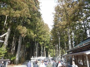 DSC02033_R