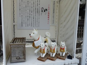 DSC01452_R
