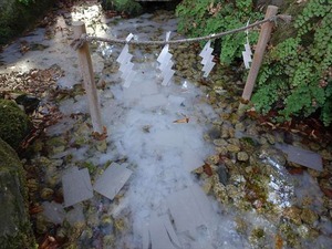 DSC04650_R