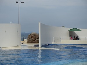 DSC05630_R