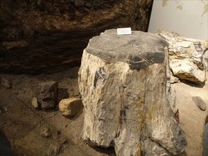 DSC05051_R