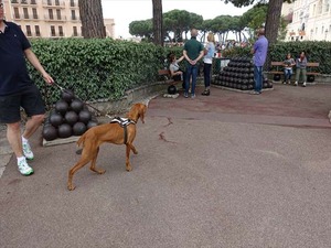 DSC09658_R