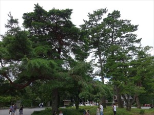 DSC07298_R