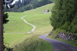 IMG_5582