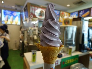 DSC03921_R
