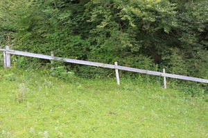 IMG_5576