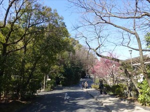 DSC02136_R