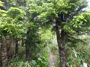 DSC06448_R