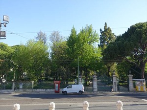 DSC07342_R