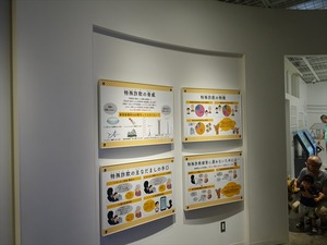 DSC03134_R