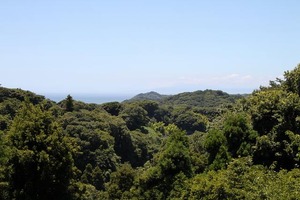 IMG_6481