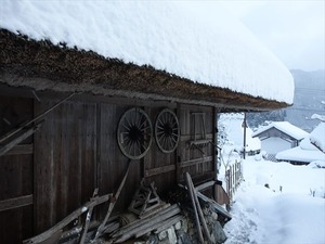 DSC03198_R