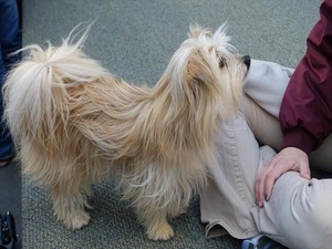 DSC07397_R