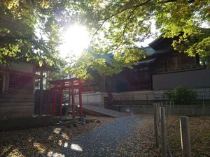 DSC00903_R