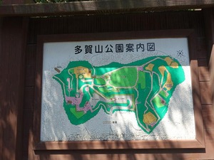 DSC04881_R