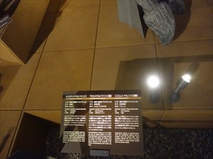 DSC05000_R