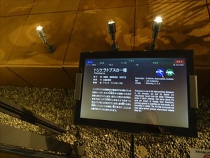 DSC05033_R