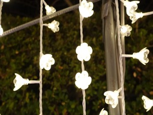 DSC01919_R