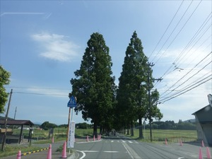 DSC05426_R