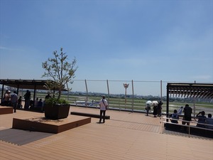 DSC09148_R