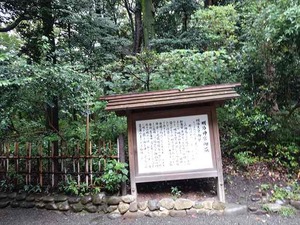 DSC02416_R