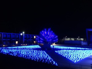 DSC02608_R