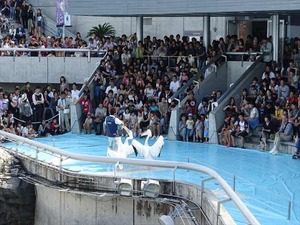 DSC05705_R
