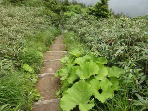 DSC06437_R