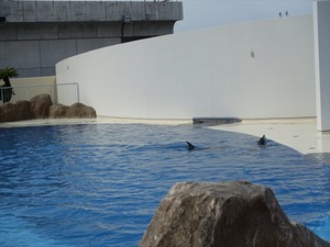 DSC05640_R