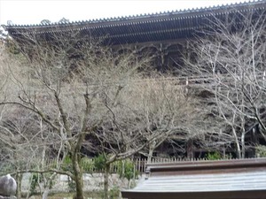 DSC08767_R