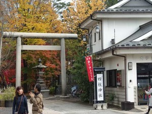 DSC01067_R
