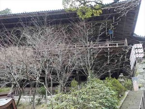 DSC08768_R