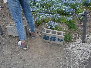 DSC00144_R
