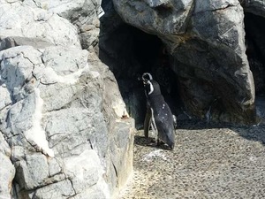 DSC05696_R