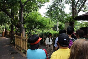 IMG_0903