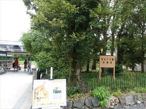 DSC07305_R