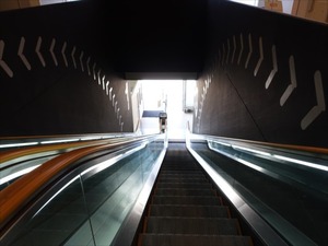 DSC00379_R