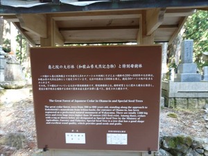 DSC02058_R