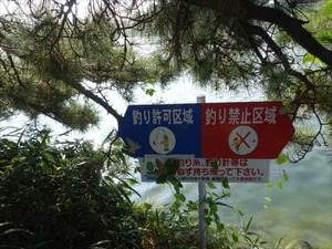 DSC00053_R