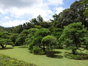 DSC07417_R