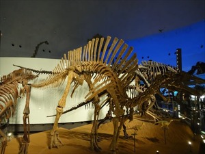 DSC05039_R