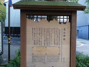 DSC00908_R