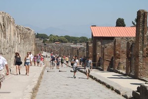 IMG_7241