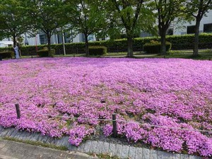 DSC05169_R
