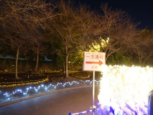 DSC01915_R