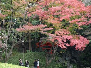 DSC05122_R