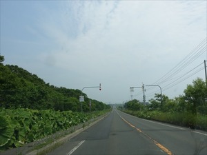 DSC05891_R