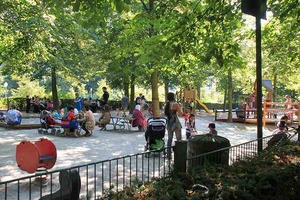 IMG_6641