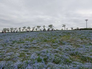 DSC00133_R
